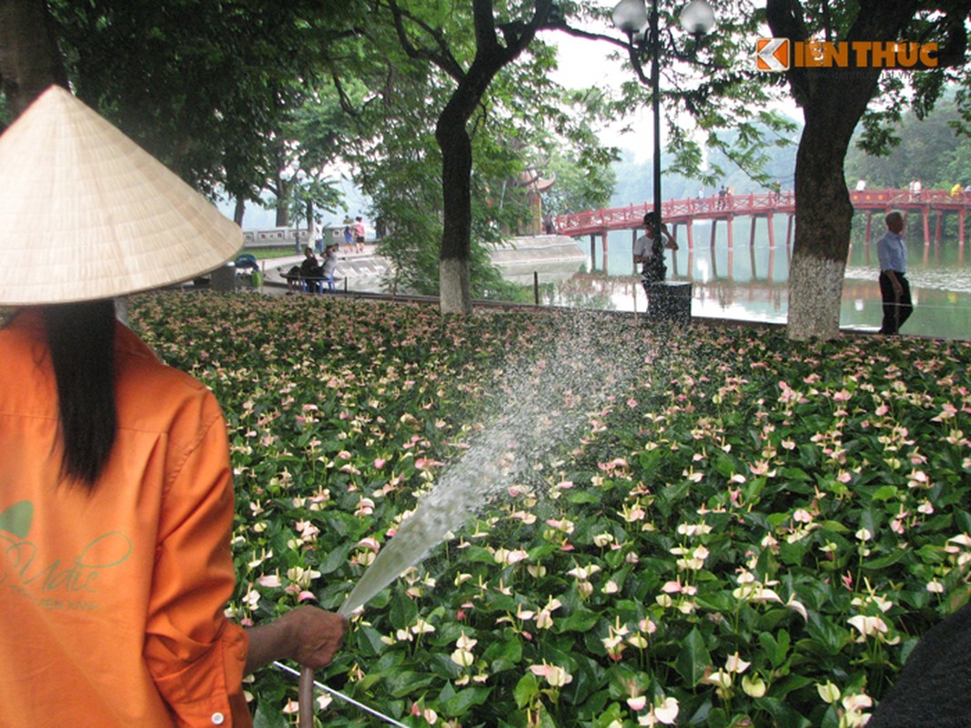 Ngam Ha Noi trang hoang long lay don Quoc khanh 2/9-Hinh-8